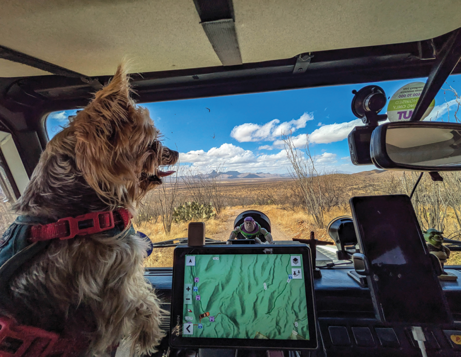 Small dog wearing a harness inside an off-road vehicle, looking out at a desert landscape through the windshield, with a navigation screen and gear visible